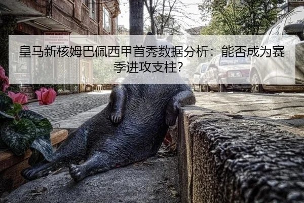 huang-ma-xin-he-mu-ba-pei-xi-jia-shou-xiu-shu-ju-fen-xi-neng-fou-cheng-wei-sai-ji-jin-gong-zhi-zhu-2-488.jpg