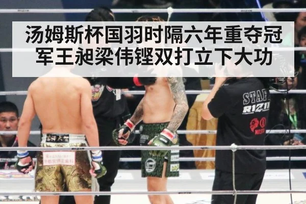 汤姆斯杯国羽时隔六年重夺冠军王昶梁伟铿双打立下大功