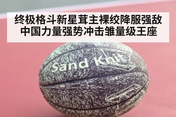 终极格斗新星茸主裸绞降服强敌 中国力量强势冲击雏量级王座